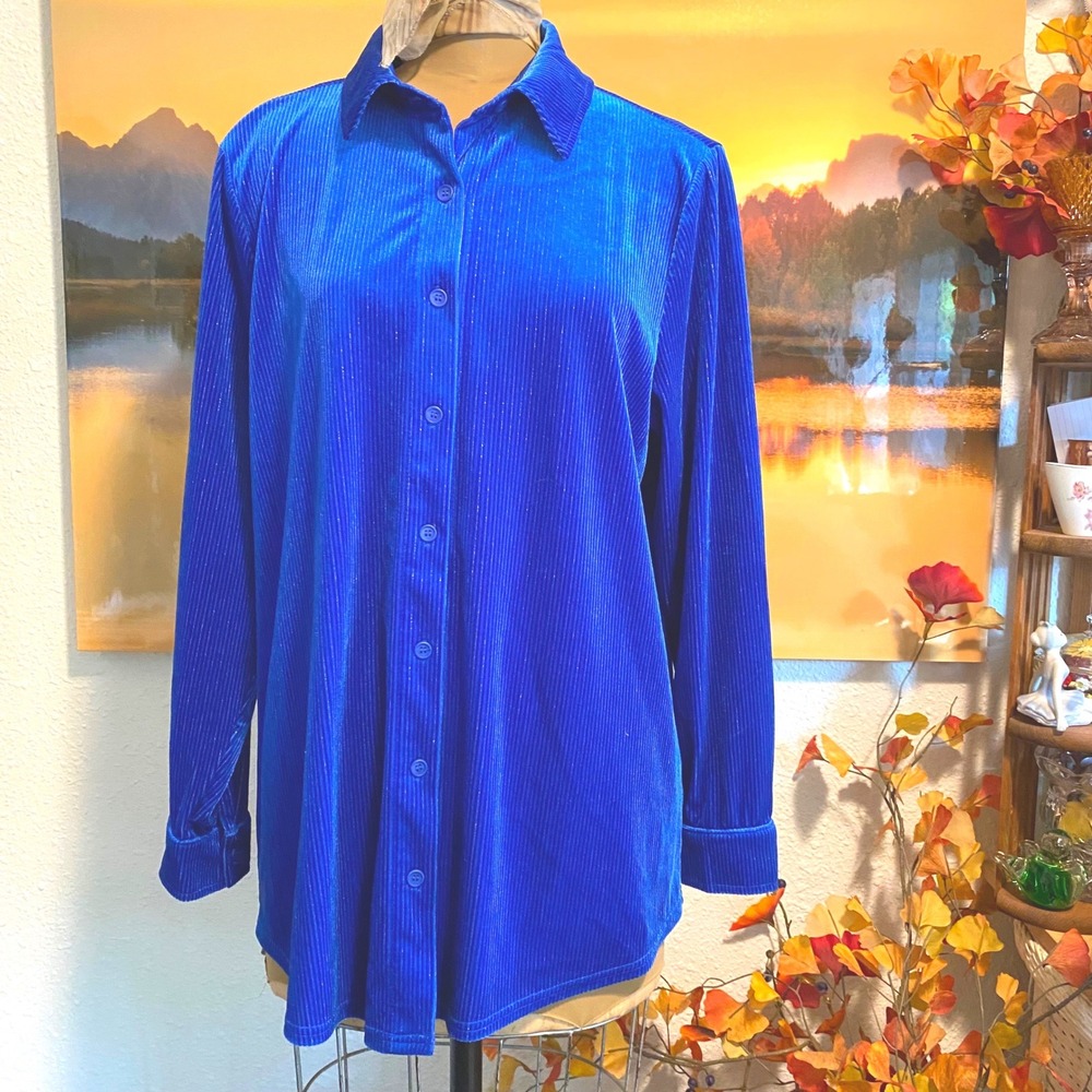Soft Surroundings Button Down Shirt Velour Ribbed Women Large Blue Shimmer L